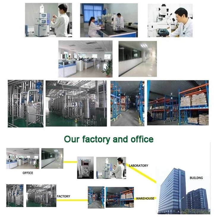 Coenzyme Q10 high quality